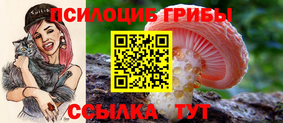 Псилоцибиновые грибы ЛСД  Вход с VPN  Галлюциногенные грибы прущие грибы  Сорочинск 