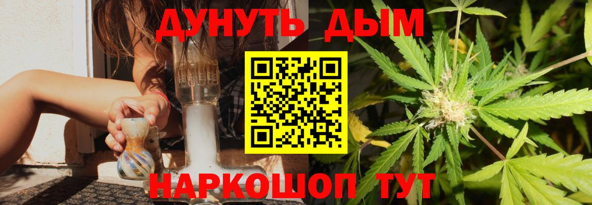 Канабис сатива Сорочинск